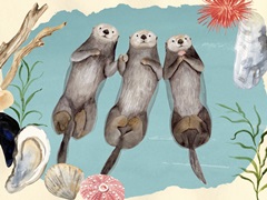 Otter's Paradise Collection A