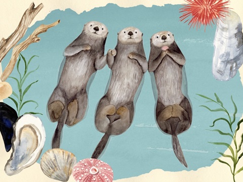 Otter's Paradise Collection A