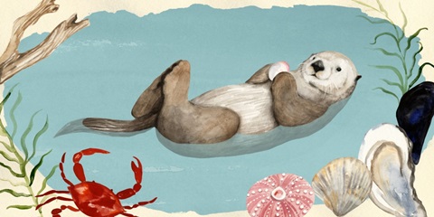 Otter's Paradise Collection D