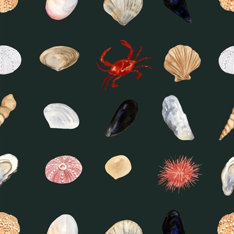 Otter's Paradise Collection G