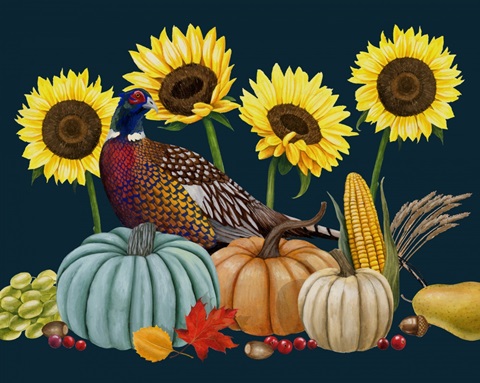 Pheasant Harvest Collection A