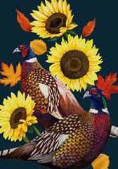 Pheasant Harvest Collection B