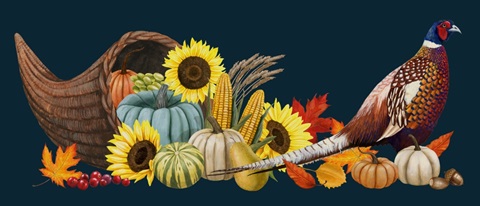 Pheasant Harvest Collection D