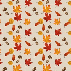 Pheasant Harvest Collection H