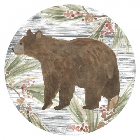 Pinecone Lodge Collection C