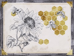 Pursue Sweetness Collection A