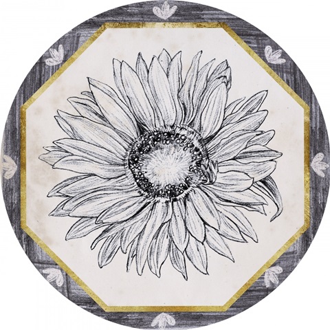 Pursue Sweetness Collection C