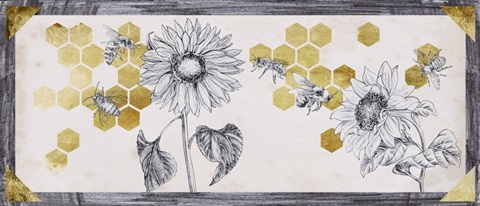 Pursue Sweetness Collection D