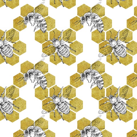 Pursue Sweetness Collection F