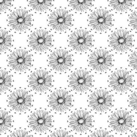 Pursue Sweetness Collection H