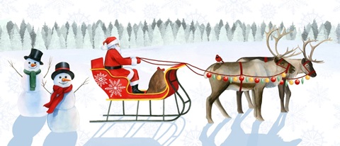 Santa's Snowmen Collection D