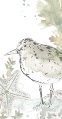 Seaside Sandpipers Collection B