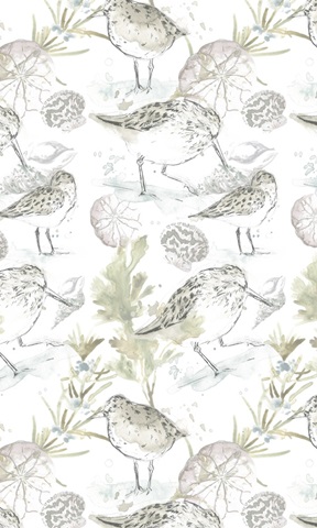 Seaside Sandpipers Collection E