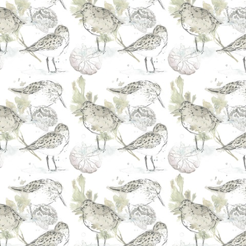 Seaside Sandpipers Collection F