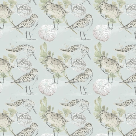 Seaside Sandpipers Collection G
