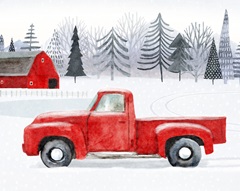 Snow Country Collection A