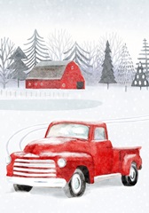 Snow Country Collection B