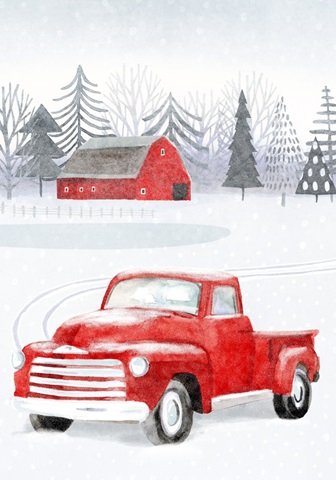 Snow Country Collection B