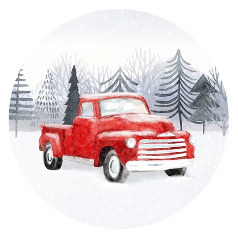 Snow Country Collection C