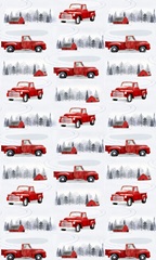 Snow Country Collection E