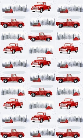 Snow Country Collection E