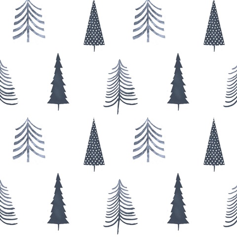 Snow Country Collection F