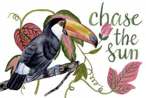 Toco Toucan Collection A