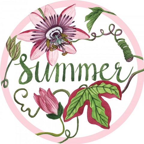 Toco Toucan Collection C