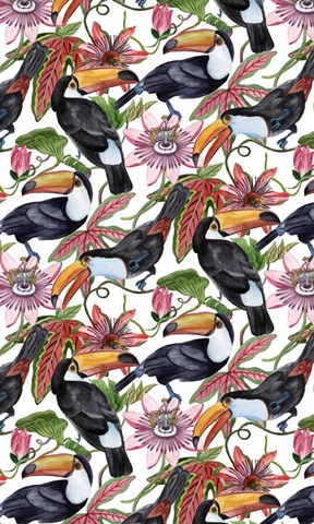 Toco Toucan Collection E