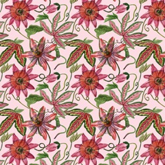 Toco Toucan Collection F