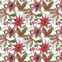 Toco Toucan Collection G