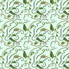 Toco Toucan Collection H