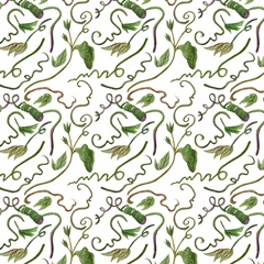 Toco Toucan Collection I