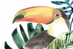 Tropical Bird Portrait Collection A