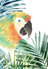 Tropical Bird Portrait Collection B