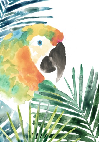 Tropical Bird Portrait Collection B