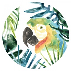 Tropical Bird Portrait Collection C