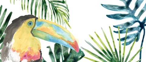 Tropical Bird Portrait Collection D