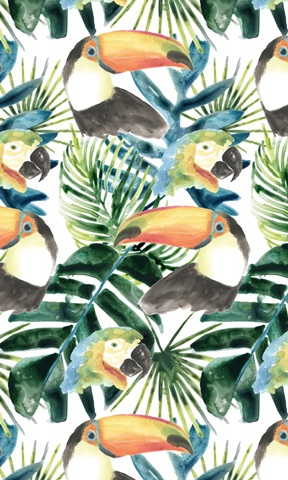 Tropical Bird Portrait Collection E