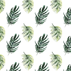 Tropical Bird Portrait Collection F