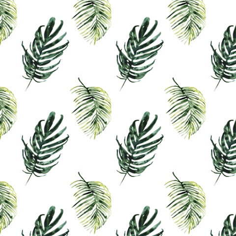 Tropical Bird Portrait Collection F