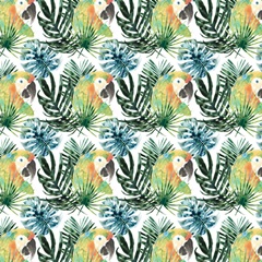 Tropical Bird Portrait Collection H