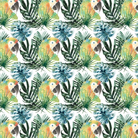 Tropical Bird Portrait Collection H