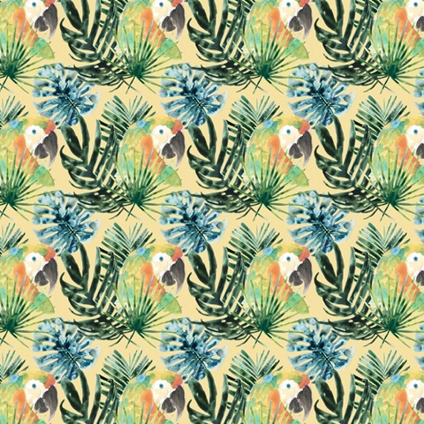 Tropical Bird Portrait Collection I