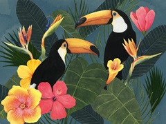 Tropical Wilderness Collection A