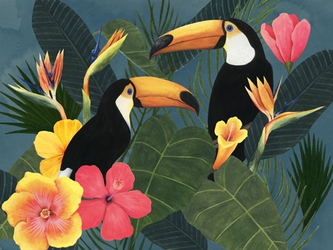 Tropical Wilderness Collection A