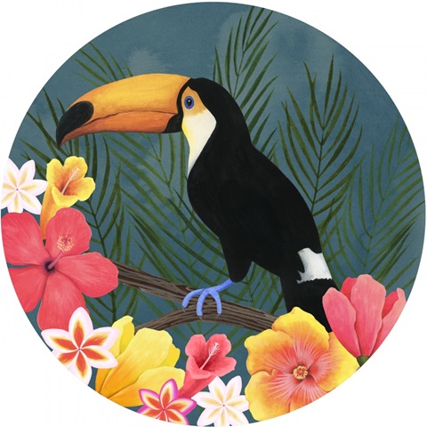 Tropical Wilderness Collection C