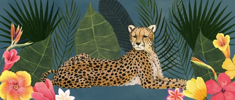 Tropical Wilderness Collection D