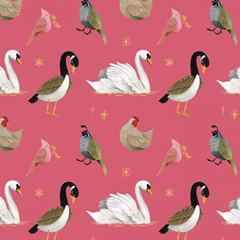 Twelve Days Collection I