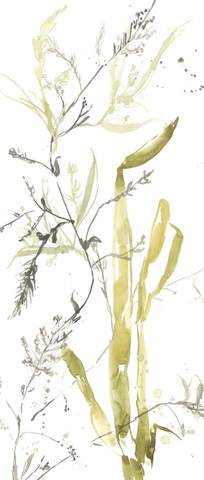 Under Sea Forest Collection B